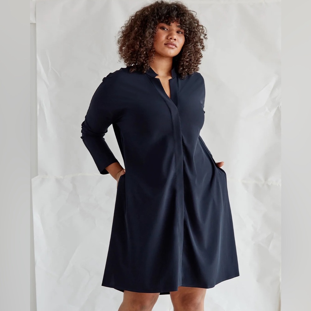 Aday Something Borrowed Dress